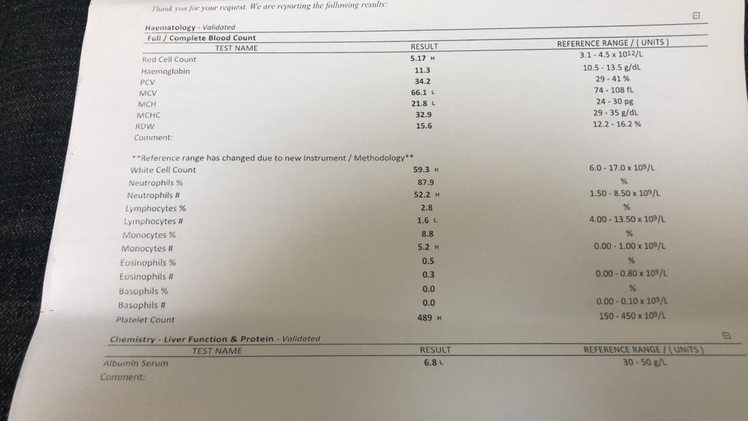 adisa_adedapo's tweet image. Find attached result from the blood work

What is/are Dx?  And why

What further Test(s) should carried out? Why

What treatment line should be followed? Why