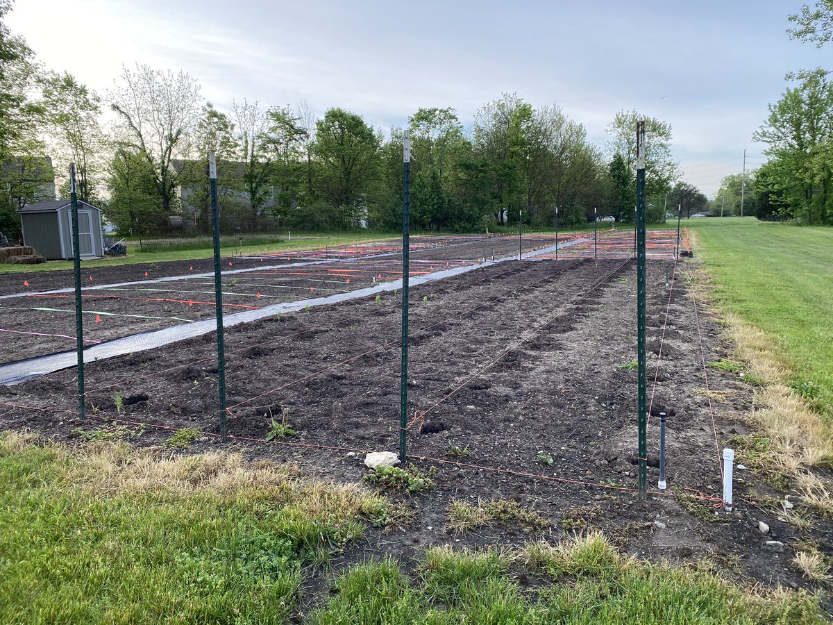 FishersRotary's tweet image. Today! ToDAY!  TODAY IS PLANTING DAY!! We just want to feed people!!!!  #hungrynomore #serviceaboveself #dirtisgoodforyou @FishersIN