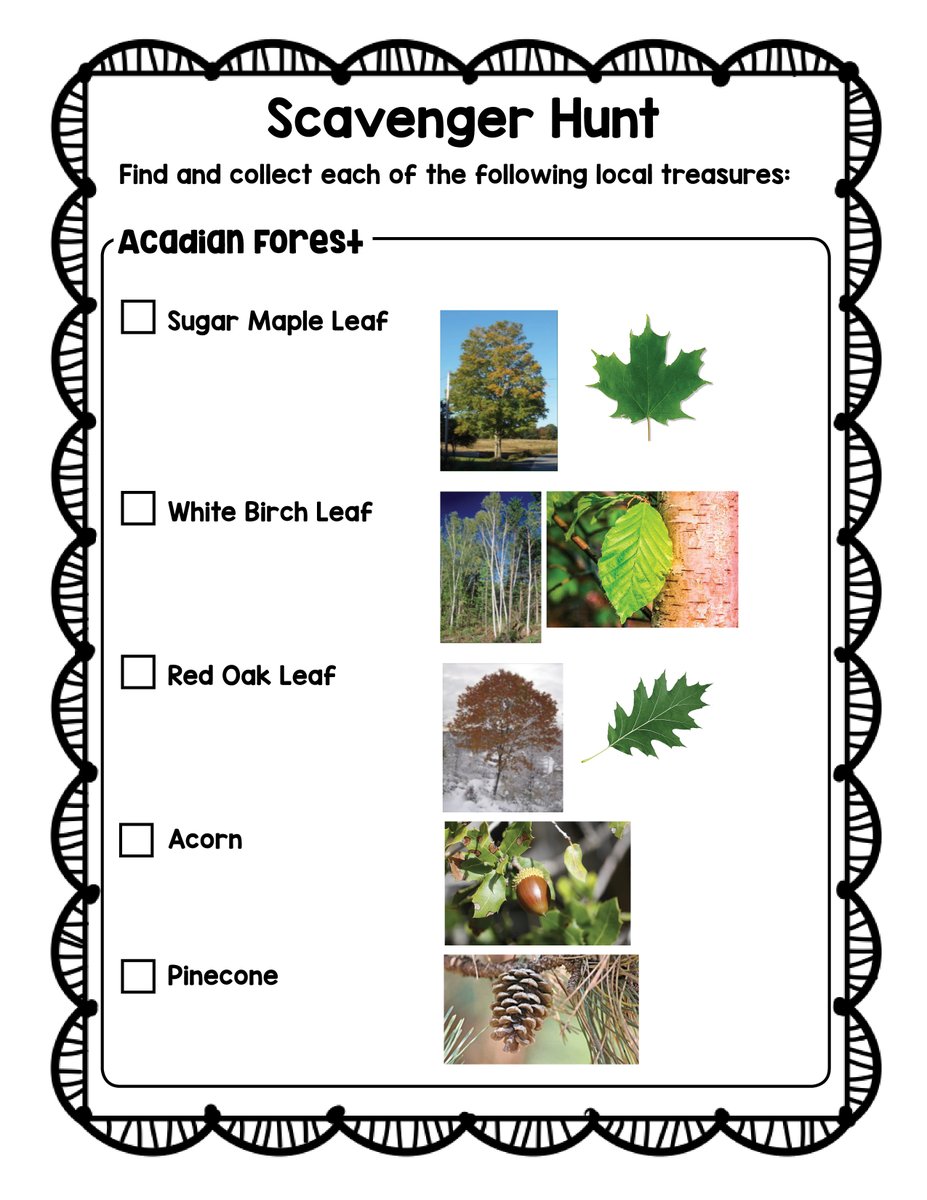 MmeArmour's tweet photo. Good morning! A friend and I collaborated on an educational Outdoor Scavenger Hunt for kids in NS. Please feel free to share and to use with your kids or your students if you are interested! #GetOutside #ExploreNature 
@sacseagles @AntEdCentre @SRCE_NS @GreenSchools_NS https://t.co/p7iwUsm0rE