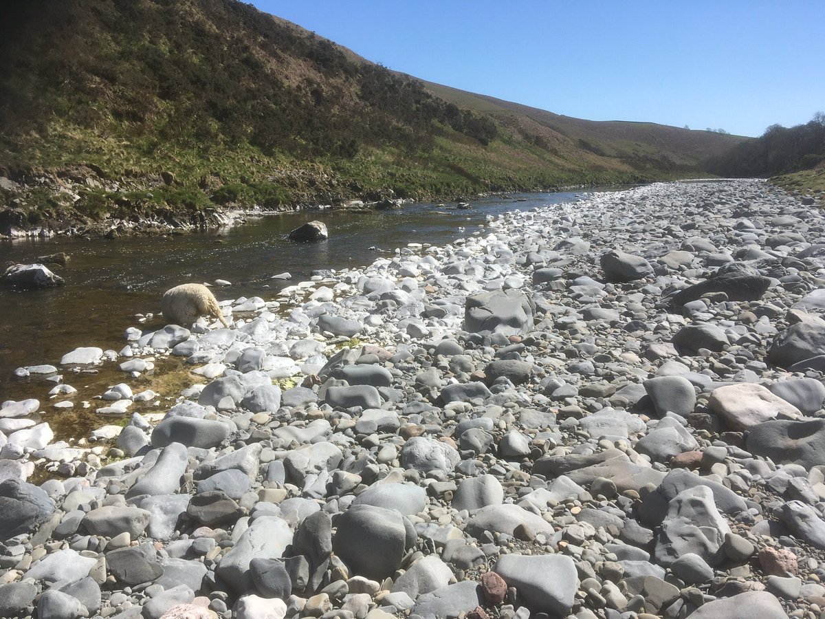 The river will be shaded and this will allow it to remain cool for the fish that live there, even if climate change makes the area hotter over time