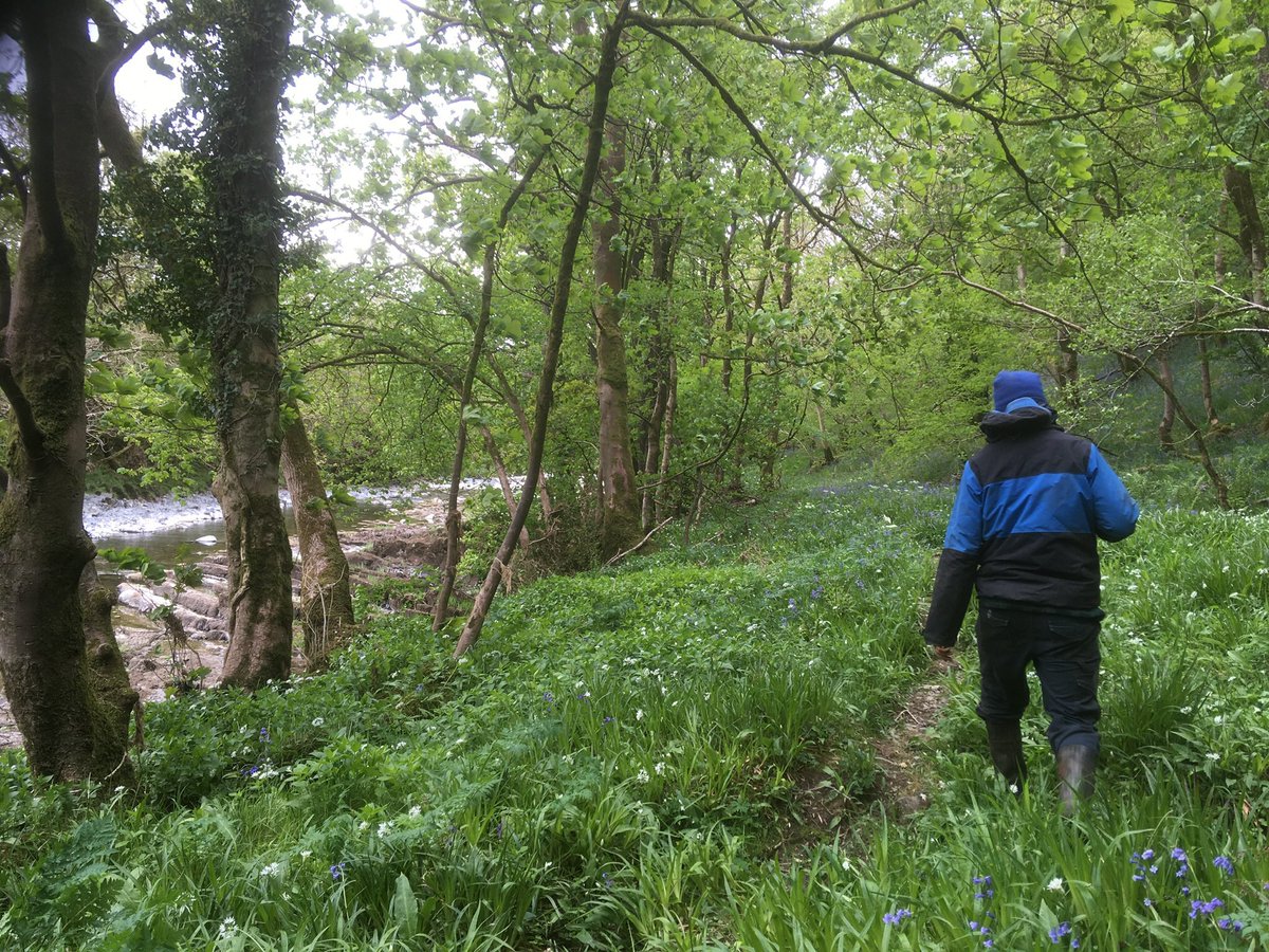 The mosaic of wildlife areas and riparian strips will become a nature recovery network over time, allowing connectivity between Gill Woods and Yorkshire Woods- two areas of ancient woodland.