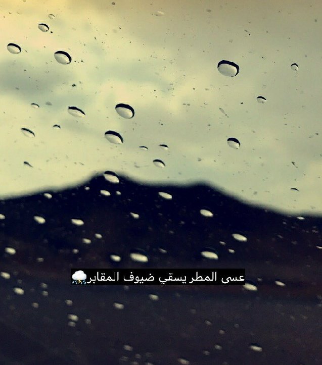 رفع هشتاقات ترند ■ tweet media