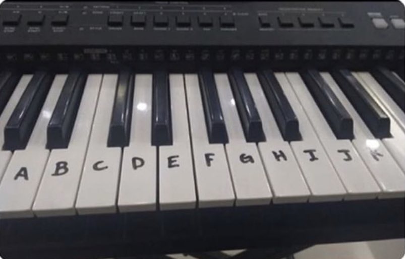 KIWITHEBAND's tweet photo. KIWI Solos be like https://t.co/kbVZDloF1l