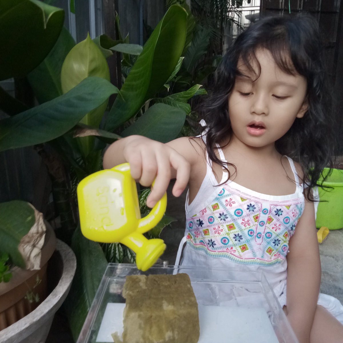 lagilagiucup's tweet photo. seneng liat tuan puteri antusias diajak belajar berkebun..
#inhousefarming #urbanfarming https://t.co/oQiNTLZd3L