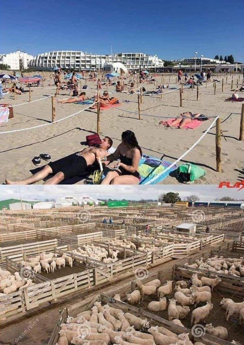 Primeras imágenes de cómo vamos a ir a la playa este verano. Algunos ya hacen comparaciones. ¿Qué opinas? #DesescalandoJuntos