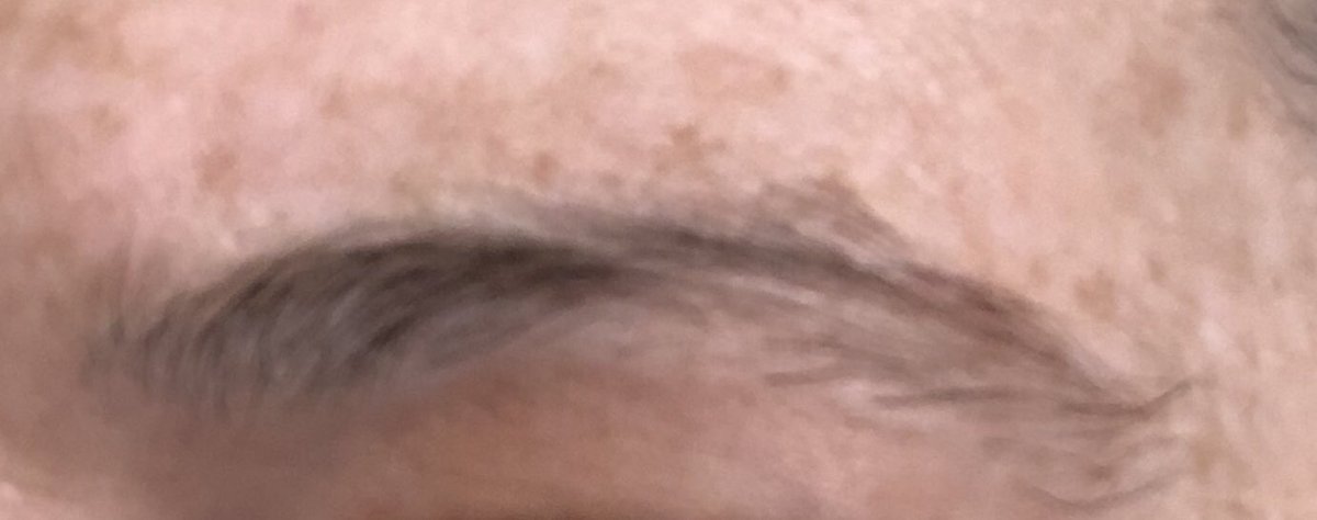 Shauna bray tweet media