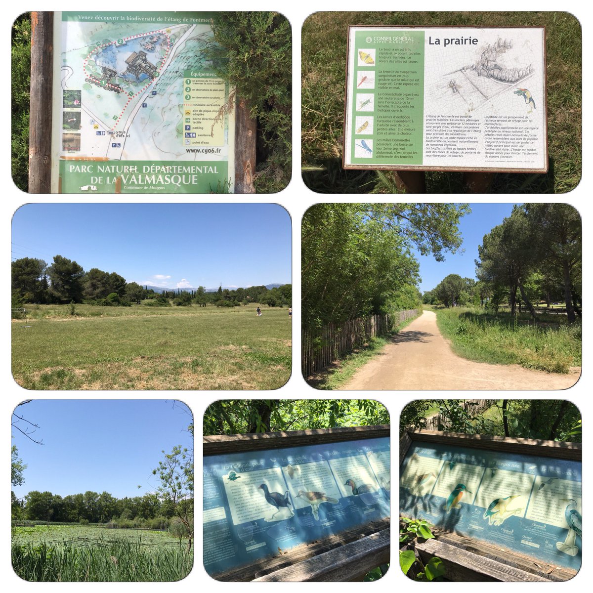AssoRVPB's tweet photo. 📸#ReportagesDécouverte RVPB en Images depuis #Mougins :

Le Parc Naturel Départemental de la #Valmasque avec la #Biodiversité de l’étang de #Fontmerle 

Un ponton de 75m à travers la zone humide
Un observatoire de plain-pied et un sur pilotis

#CotedAzurFrance #AlpesMaritimes https://t.co/h5HQeahfBA