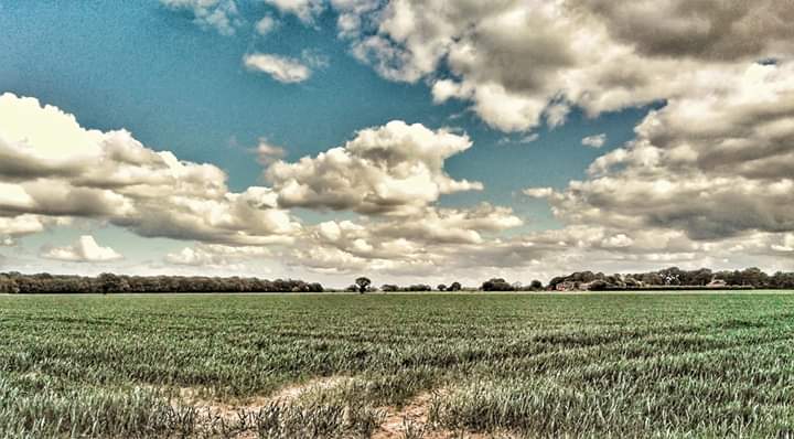 Bit breezy here in norfolk
<a href="/chrispage/">Chris Page</a> @itvangliaweather <a href="/bbcweather/">BBC Weather</a> <a href="/BBCWthrWatchers/">BBC Weather Watchers</a> <a href="/metoffice/">Met Office</a> #StormHour #ballsphotos #Norfolk