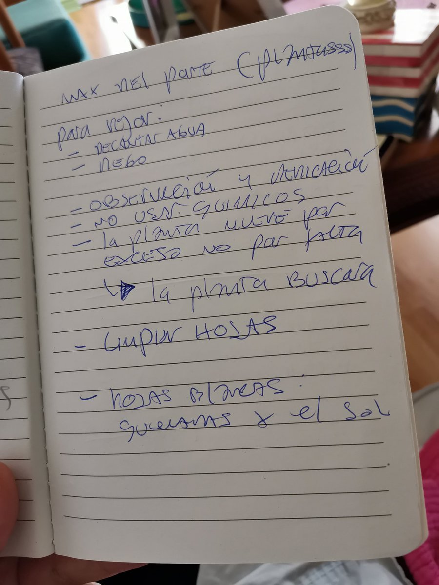 Fdavilabarrera's tweet photo. Estaba mirando un taller de Botánica Doméstica de @MaxDelporte @plantsssapp pero la conexión era un poco deficiente. Aquí unos apuntes https://t.co/34qzI9DlbB