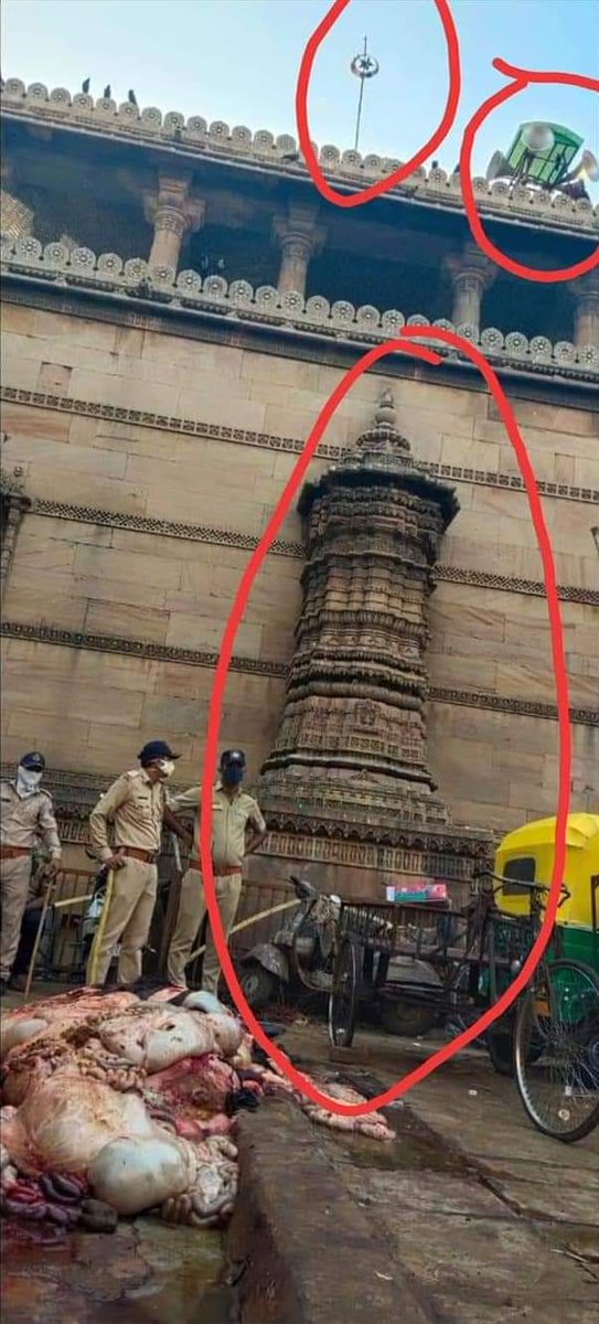 If we reclaim all these temples, enforce stricter laws, we can have some hopes to save our nation & people, else it's just cat & mouse game.Caution: gory pictures.Check the temple occupied & converted as masjid.Place: Shahpur, Ahmadabad #ReclaimTemples