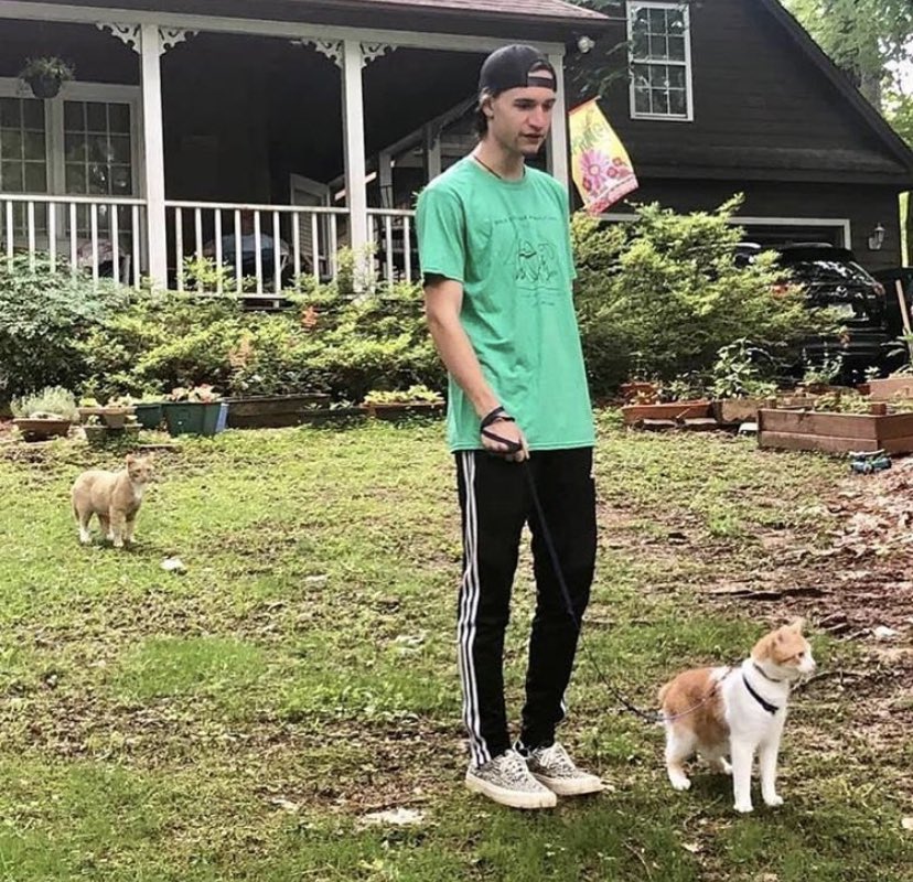 APSofDurham's tweet photo. It’s called the Walk for the ANIMALS for a reason. Check out these cats getting in on the fun 🐱🐱🤗

#WalkWithMe2020 https://t.co/2xpcRdgzmV