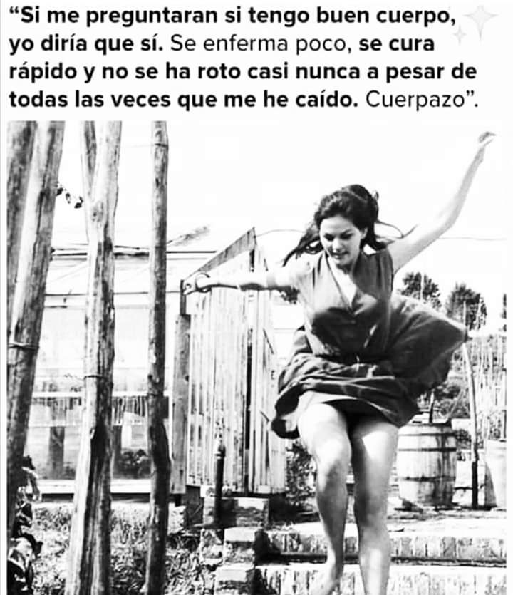 ilsb_ac's tweet photo. #FelizSábado
¡Cuerpazazazoooo! 😍

Vía  Estudios de Género América Latina https://t.co/kQOaUoVIqP