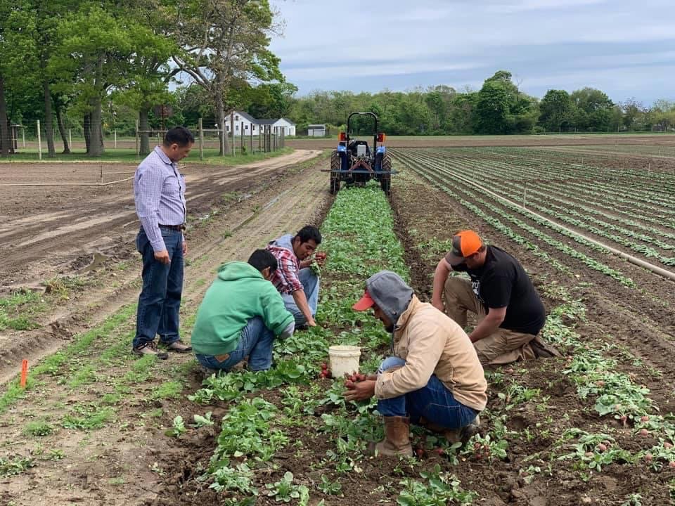 A year ago, we forged new partnerships in fighting for fair labor standards on NY farms which led to the  #FarmworkersFairLaborPracticesAct. To better inform our legislation and understand how our farms & farmworkers were faring, we took a trip upstate.  https://twitter.com/jessicaramos/status/1106667396226600960