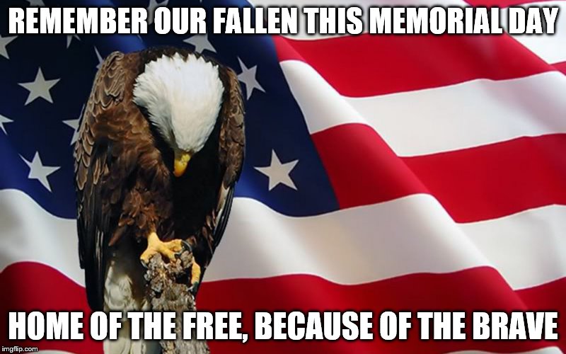 All gave some.
Some gave all.
Let us never forget the sacrifices of the men and women of our United State Armed Forces. May they rest in peace.