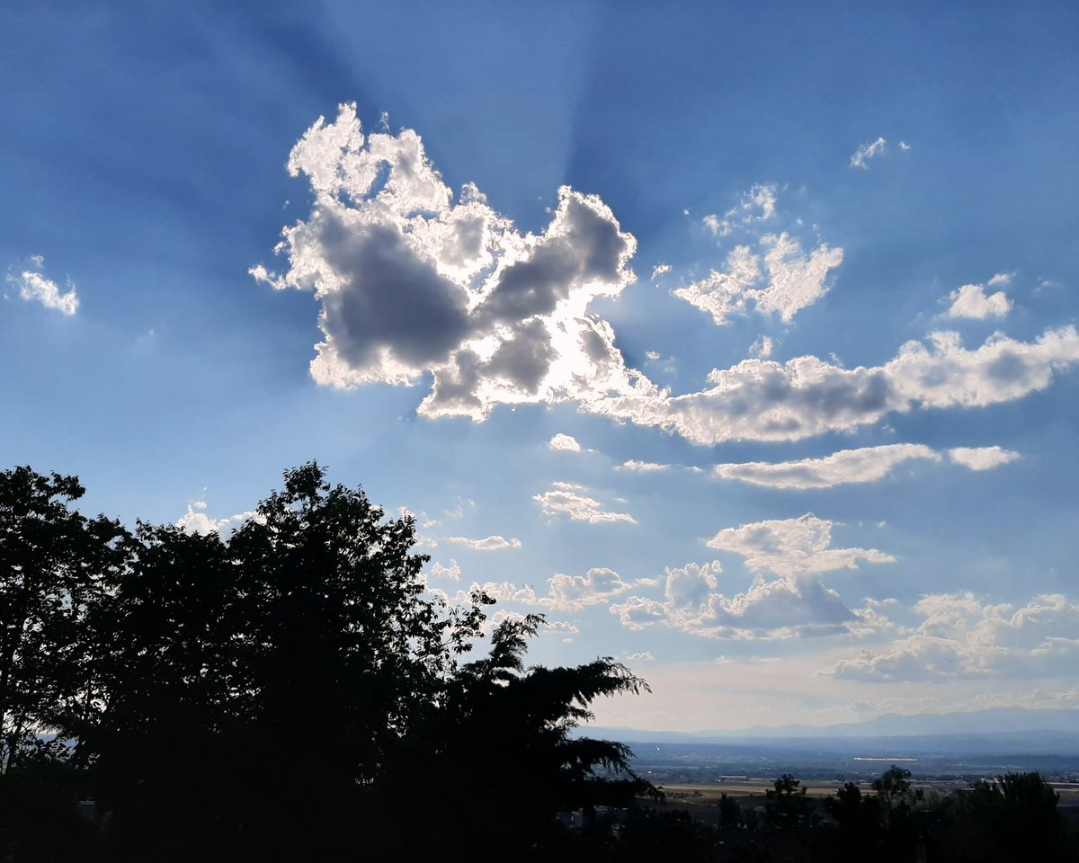 celesgalan64's tweet photo. Si no fuese por la #nube no me podría #asomar a la #ventana
#Sol #calorazo
#Algete #Madrid https://t.co/lsPdXs8hNB