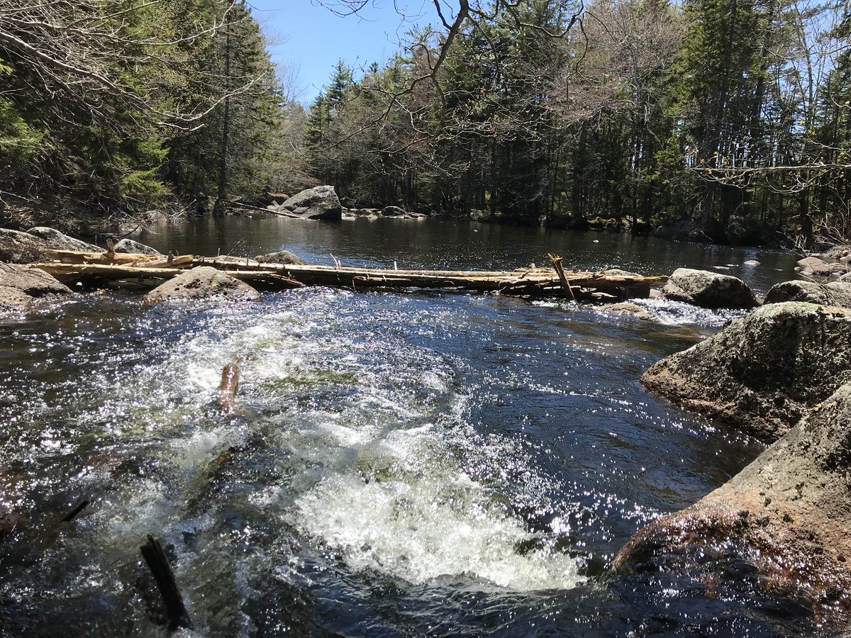 kw1012's tweet image. It’s a beautiful day to explore Nova Scotia! #vacationathome #halifax #hammondsplains #novascotia #nature