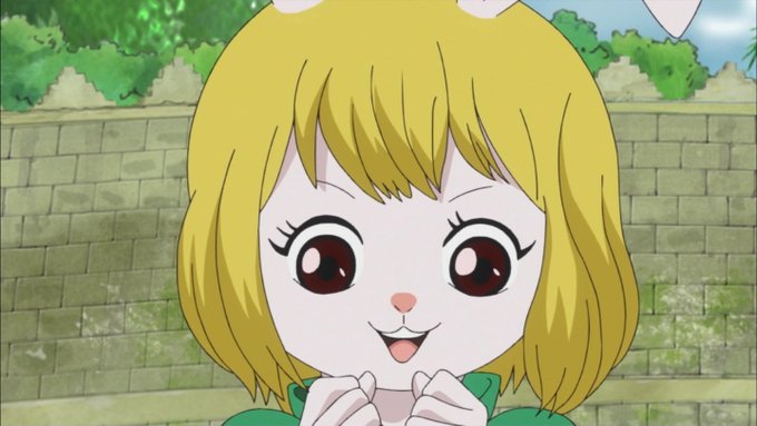 嘲笑のひよこ すすきさん がハッシュタグ 5月24日はキャロットの誕生日 をつけたツイート一覧 1 Whotwi グラフィカルtwitter分析 嘲笑のひよこ すすきさん がハッシュタグ 5月24日はキャロットの誕生日 をつけたツイート一覧 1 Whotwi グラフィカルtwitter分析