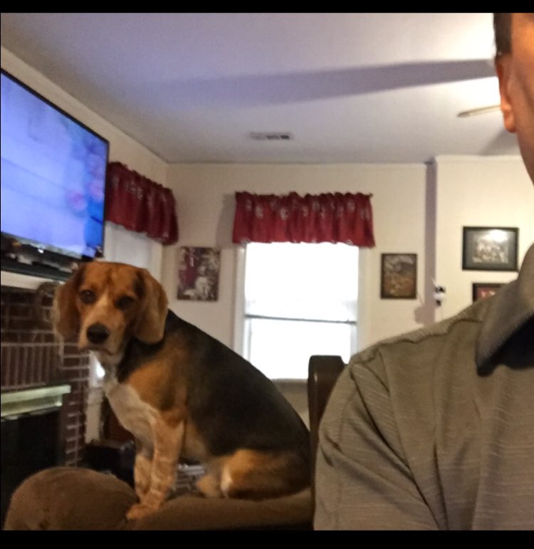 With daddy working at home, I have to be his supervisor...