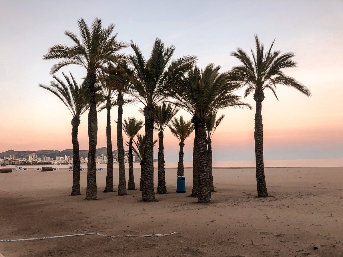 imlaurenbate's tweet photo. From July, tourists will be able to return to Spain, Pedro Sanchez has just confirmed! 🇪🇸 

No need to write summer off yet guys, we’re all gonna get that summer holiday we deserve, I know it! ✈️☀️🍹 https://t.co/QEgMCHZVsQ
