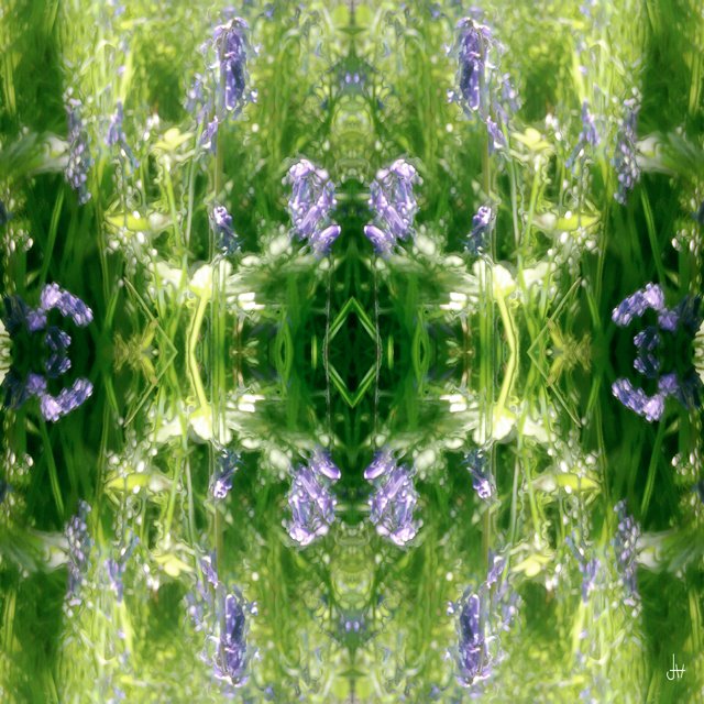 Art Loop tweet media