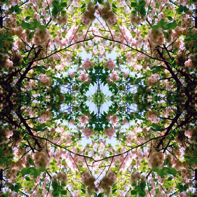 Art Loop tweet media