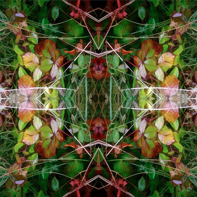 Art Loop tweet media