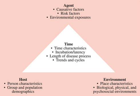 The epidemiological triad is a simple model that explains disease causality.a. agents of disease could be either infectious organisms (bacteria, fungi, virus) or exposures such as chemicals, smoking, foods, toxins Generally, the agent should be present b4 disease occurs.