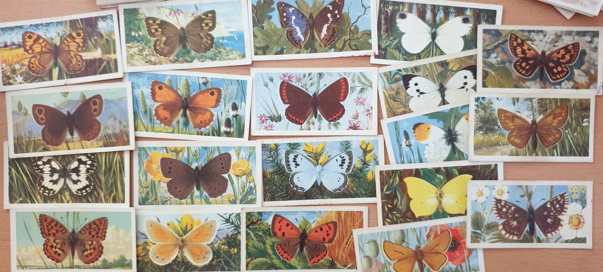 Then there are these  #butterfly sets from the 60s... British Butterflies and Butterflies of the World. Again, I have completed albums as well as these loose cards...