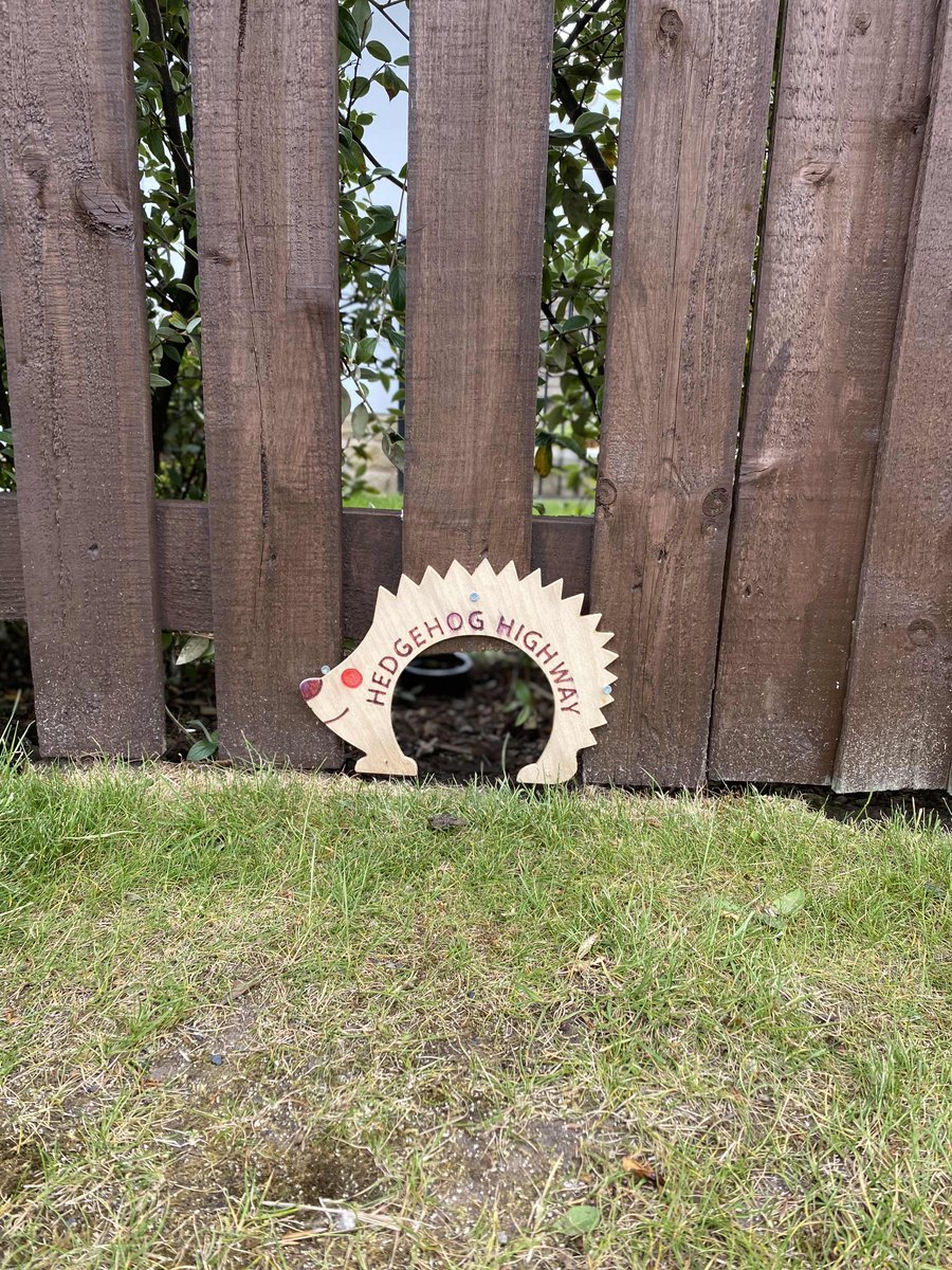OliviaCollingt3's tweet photo. Found these hedgehog highways on our walk today in a residential area. Next to them was a picture of hedgehogs using them at night! Great to see ecological mitigation in action!
#ecology #environment #ecologicalmitigation https://t.co/lb3qWGph5k