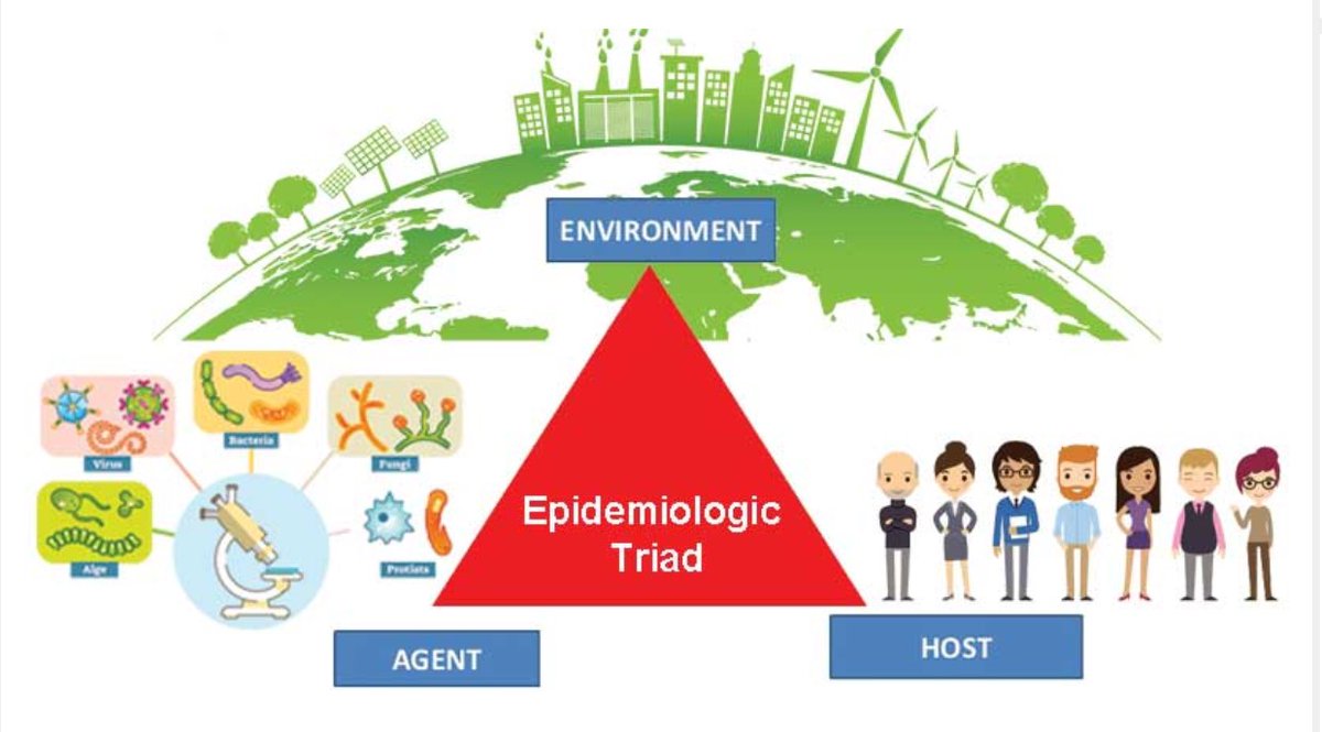 b. The host offers an ecosystem for the agent to thrive and cause disease. This usually represents the person.May factors affect the host's vulnerability to (1) infection and (2) poor outcomes from the disease.These could be biological or social determinants