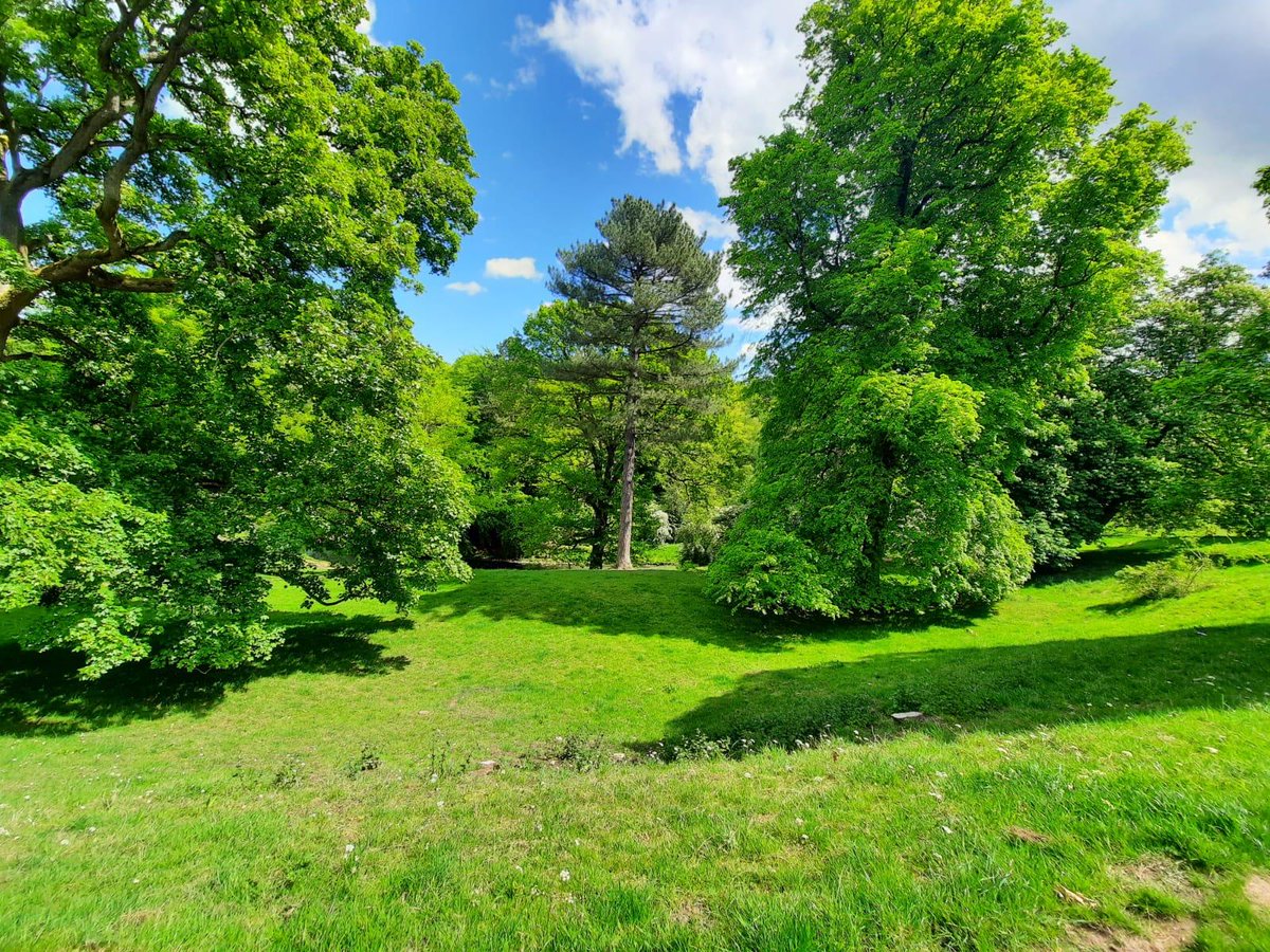 aucklandproject's tweet photo. How gorgeous are these photos of the Deer House in the sunshine, taken by local residents Alex and Mark? #lovebishopauckland https://t.co/JTepa41vlx