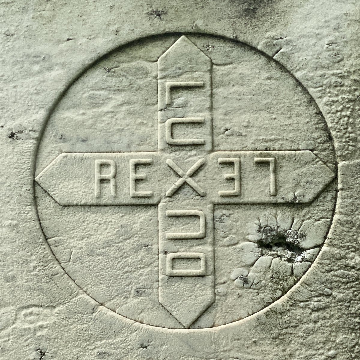 Yesterday I saw this symbol on the back side of a headstone at Graceland Cemetery. At first, I wasn't even sure how to read the letters … but it turns out to be "DUX LUX REX LEX."