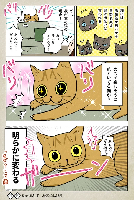 猫と表情。#保護猫3兄妹 #猫 #ネコ漫画 #コミックエッセイ #猫まんが #ペット漫画 