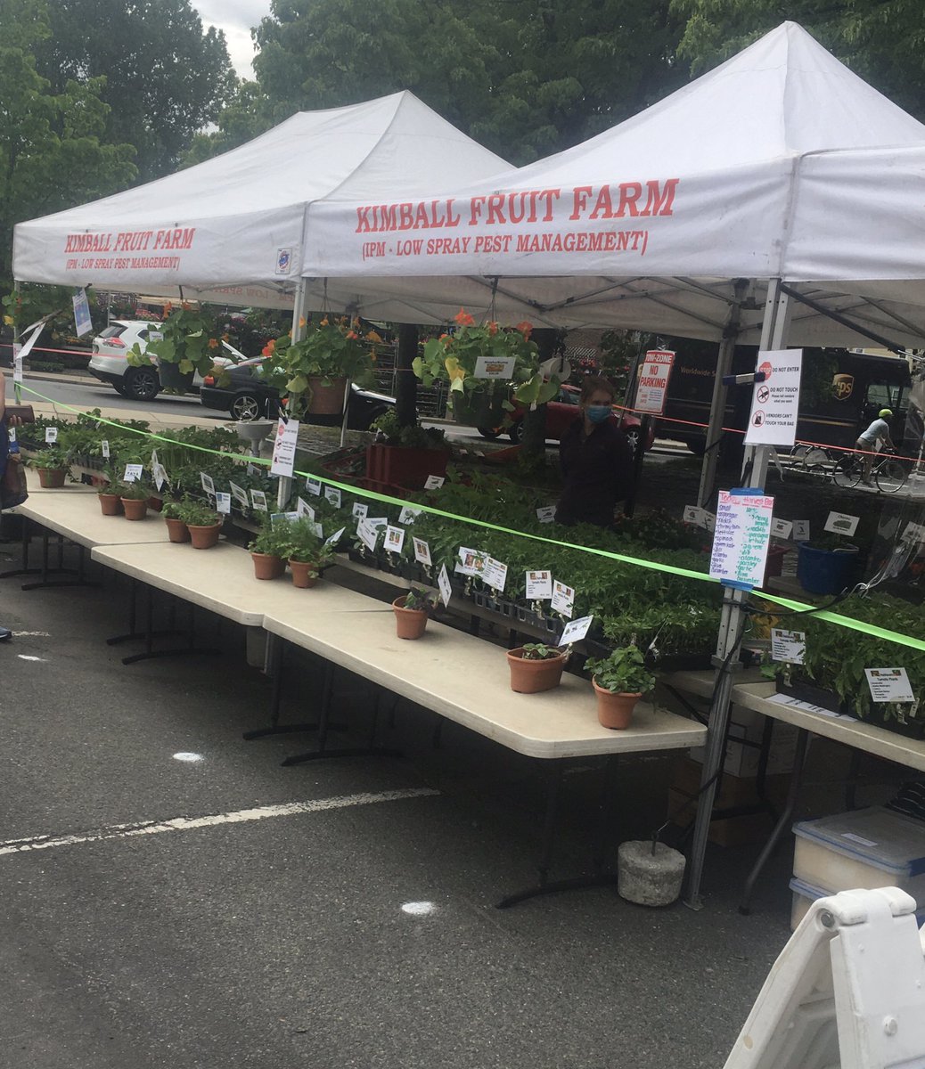 Come out and join us at the Union Sq farmers market today from 9 to 1! We have asparagus rhubarb greens plants hydroponic cherry tomatoes and more!