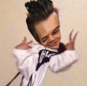 WE LOVE YOU HARRY