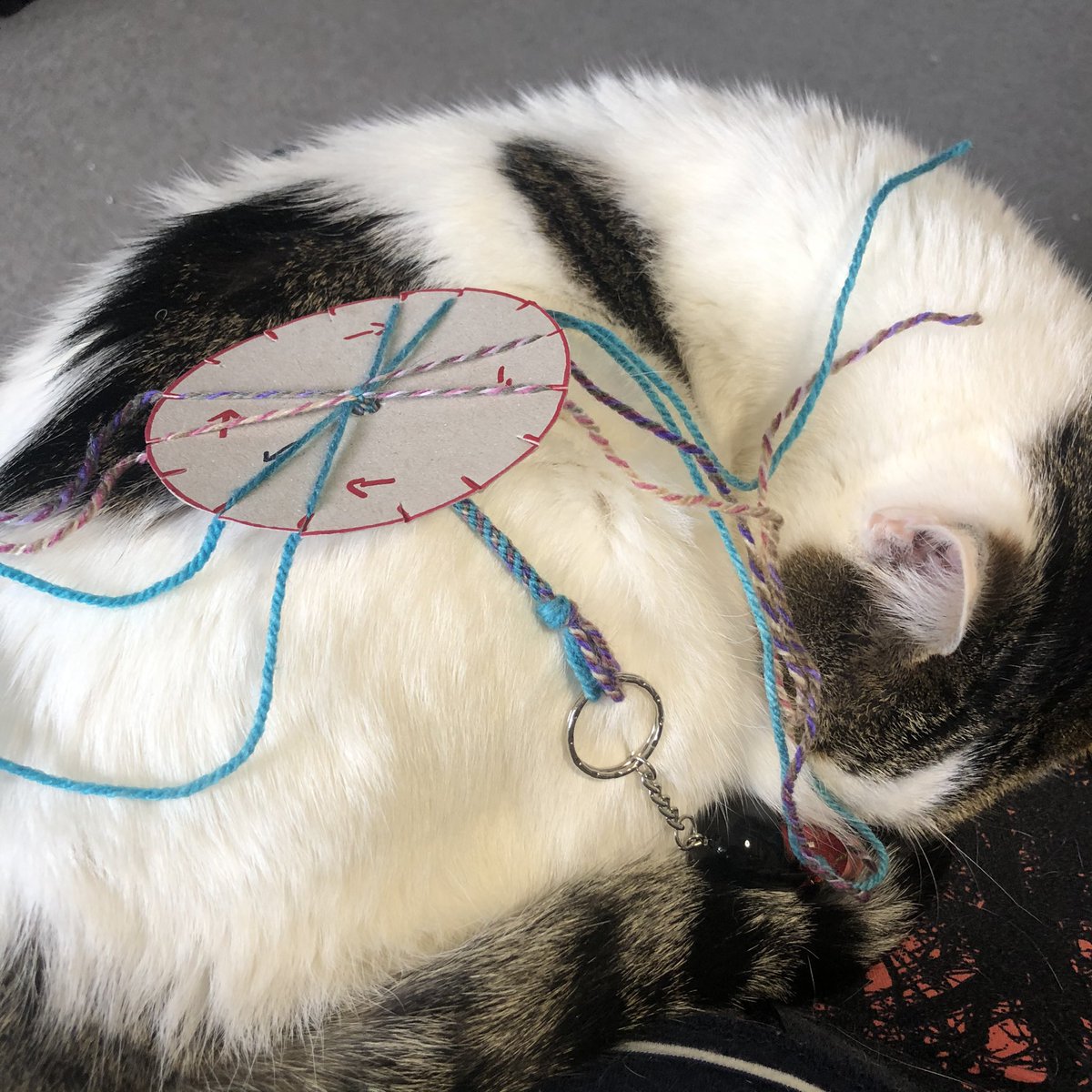 259Glasgow's tweet photo. This mornings Zoom was #craft based. We learned about #kumhimio and made our own Japanese inspired friendship bracelets. 
#AdventuresAtHome #AdventuresAtHame #VirtualCamp https://t.co/Bb3Q8AeAAa