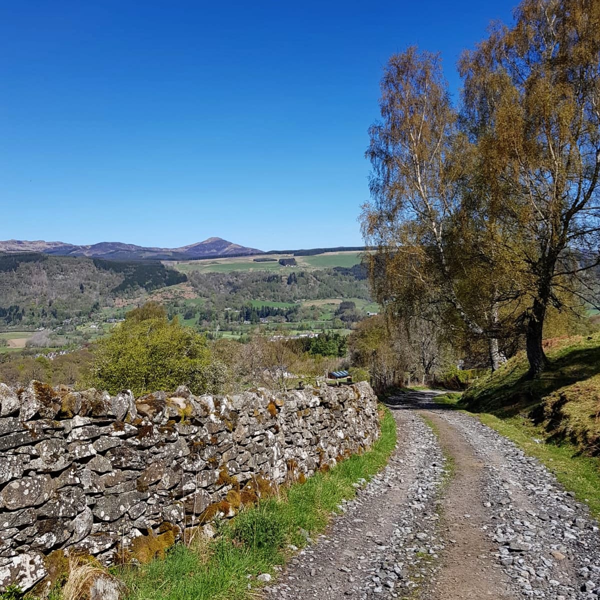 ThatScotsCouple's tweet photo. Here's another picture from our wander up Dun Hill a few weeks ago
Can't wait to explore more of our doorstep once the weather clears up!
#aberfeldy #perthshire #scotland #VisitScotland #thisisscotland #scotlandisnow https://t.co/hdkCtvXKXK
