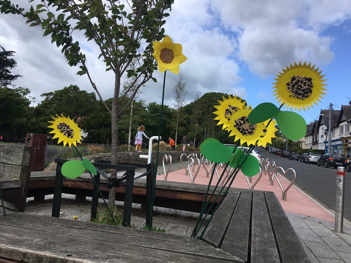Jodie_S_Neary's tweet photo. What a great start to the Greystones Ber Route Project. 45 locals turned up to collect their free Bee Route Starter Pack today with potentially more but it started to rain. I rang out of sunflower seedlings very quickly 🌻 Luckily I’ve loads of seeds available 😁 https://t.co/otsEkzWGAp