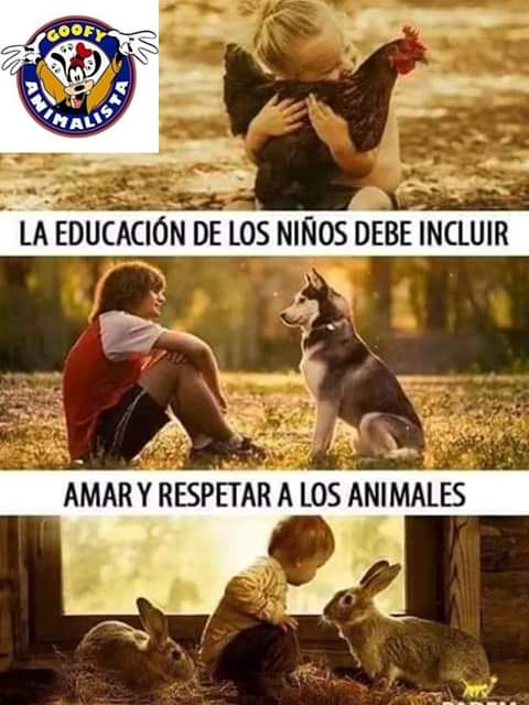 Goofyanimalista's tweet photo. https://t.co/2VycLgCshU