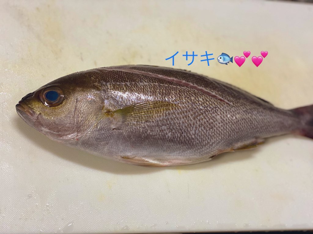 kaaaaa324's tweet photo. イサキちゃん🐟
Let's cook🍴 https://t.co/H2bkiTcPaG