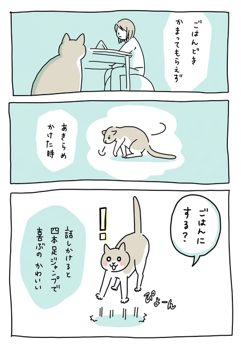 ただ、ねこが可愛いというお話。
喜び・驚き・嬉しさ・楽しさ・色んな顔が見れるのも、在宅ならではのしあわせです。

#猫がいる暮らし #猫好き #リモートワーク #リモートワークあるある 