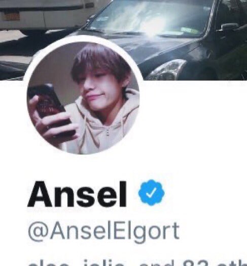 ansel changing his pfp to taehyung and liking/rting posts of him and also posting about him on his story pls