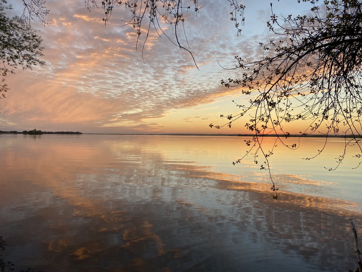 gpm_3rd's tweet photo. I think this is the best picture from last night’s sunset 🌅 what do you think? #wellersbay #wellersbaysunset #sunsetlagoon #trentonontario #consecon #sunsetlover #sunsetporn #conseconontario #princeedwardcountyontario https://t.co/smzysNAlNf