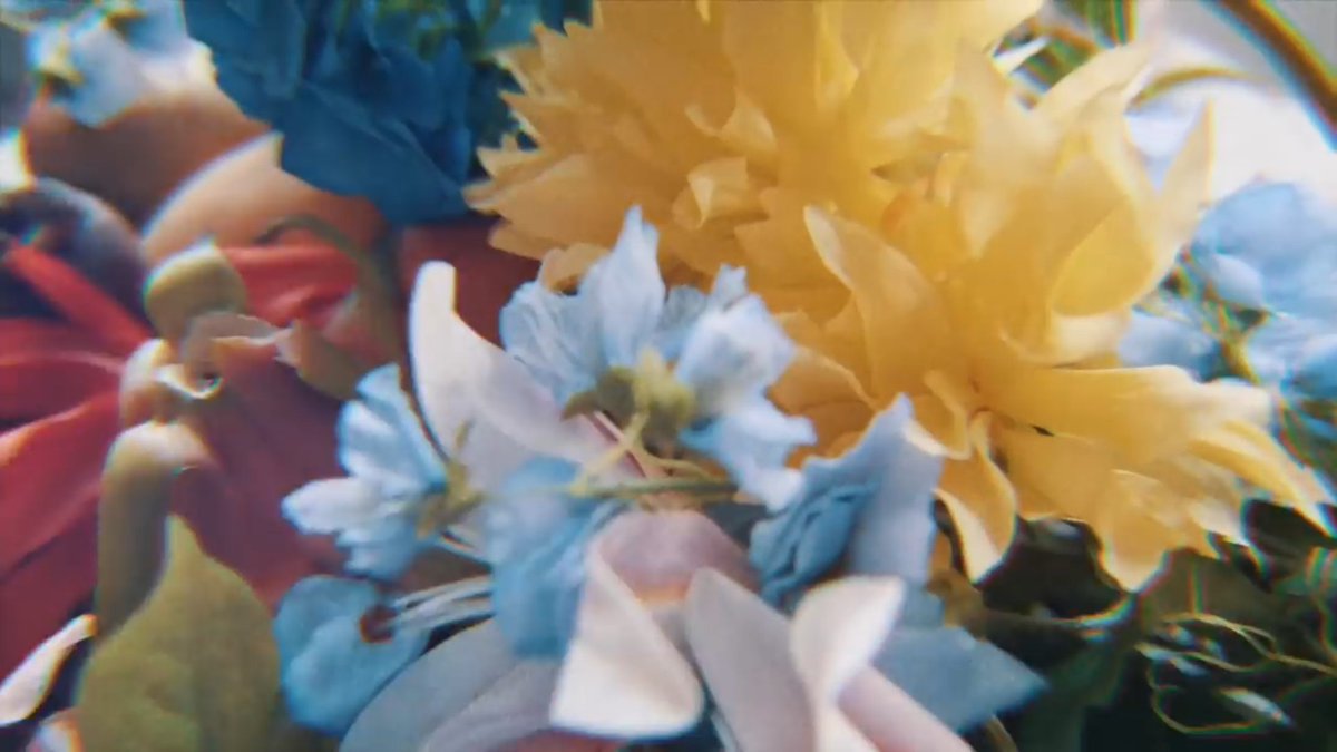 Last one is Jeongyeon if you have read all of the flowers in this thread already then that is the flower in Jeongyeon's More&More Concept Film. @JYPETWICEBut I think in her name the flower in there is the The Crown Imperial which what Momo has. #TWICE  #MOREandMORE  #트와이스