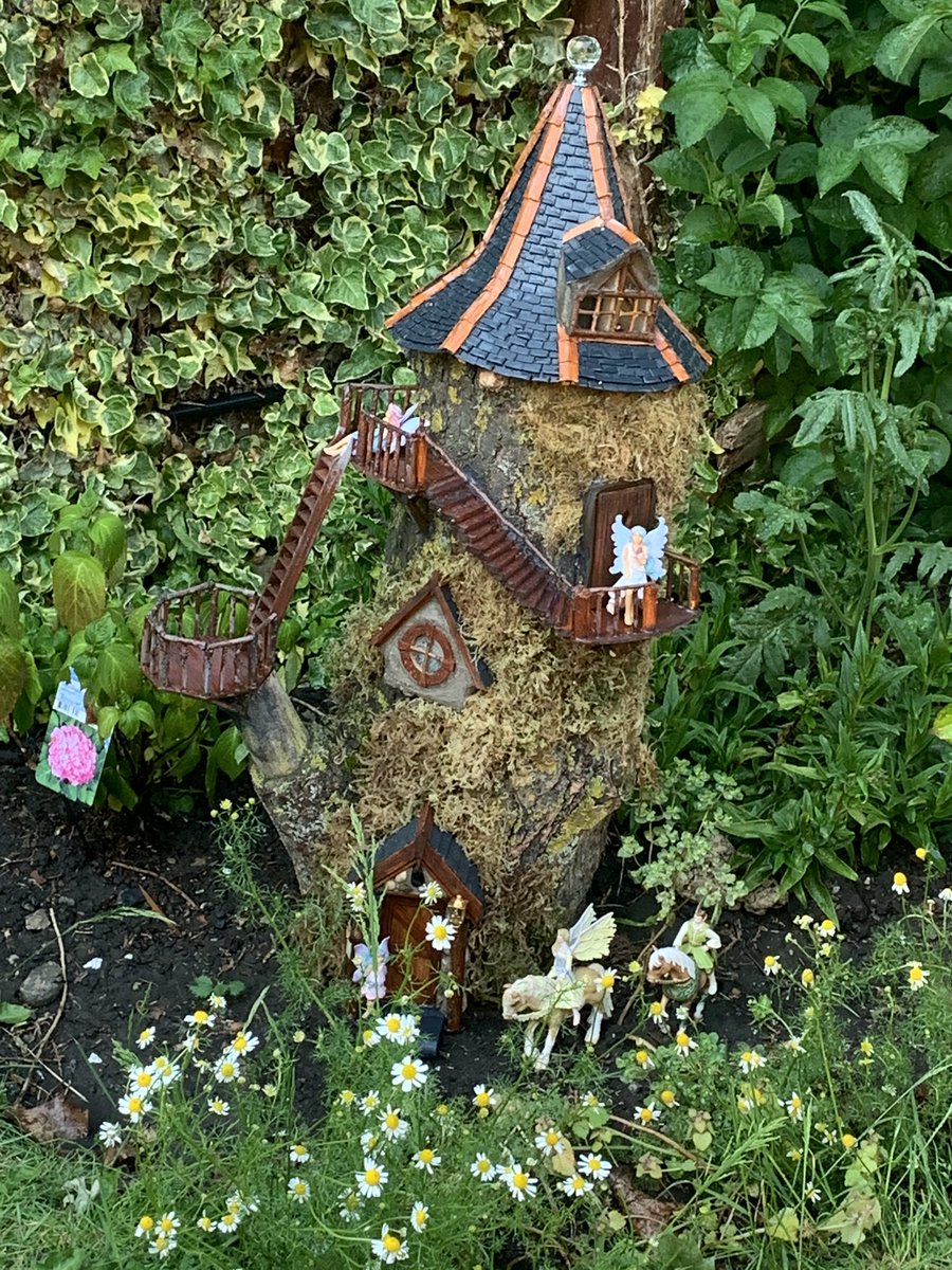 jodybuxton's tweet photo. @StPatricksRCTho Erin’s fairy house in progress then finished and in place x https://t.co/DrvChwi4I7