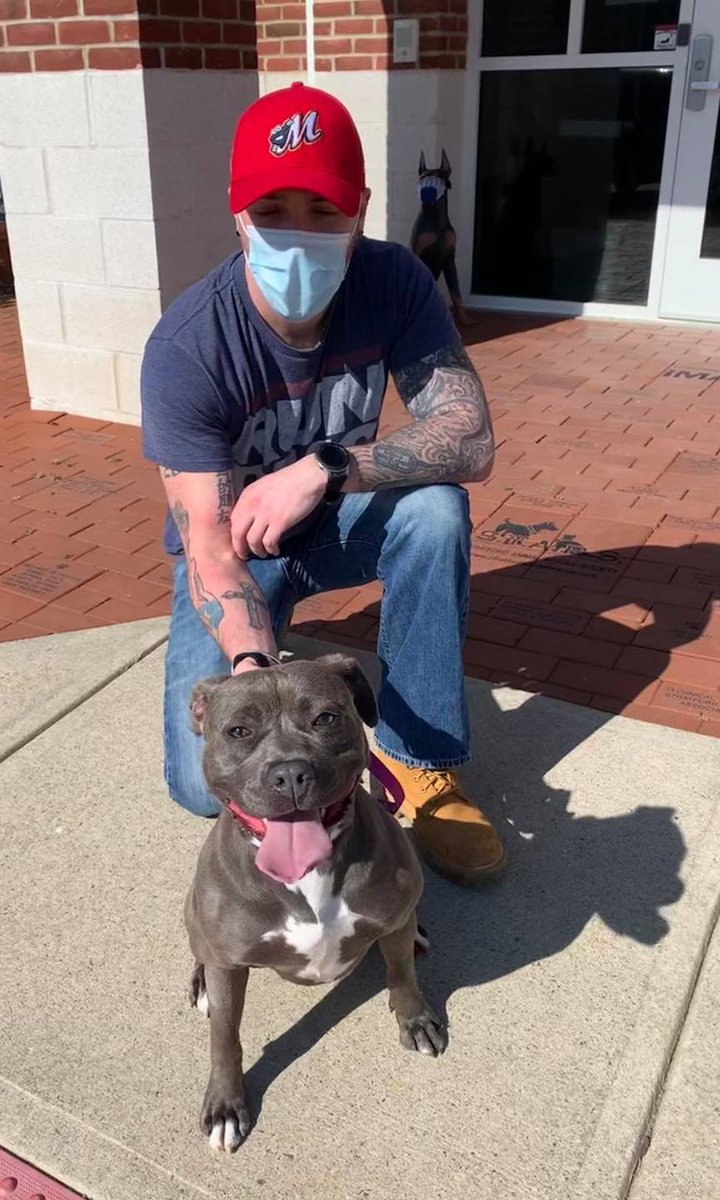 StratfordSTARS's tweet photo. Belle and her siblings Brownie and Blueberry came to our shelter at only a few months old having spent their first months of life cramped in 1 small kennel &amp; neglected. After 9 months with us, 1 by 1 all were adopted, with Belle being the last today!
#STARS #rescue #fureverhome https://t.co/axeTpLU7Xo