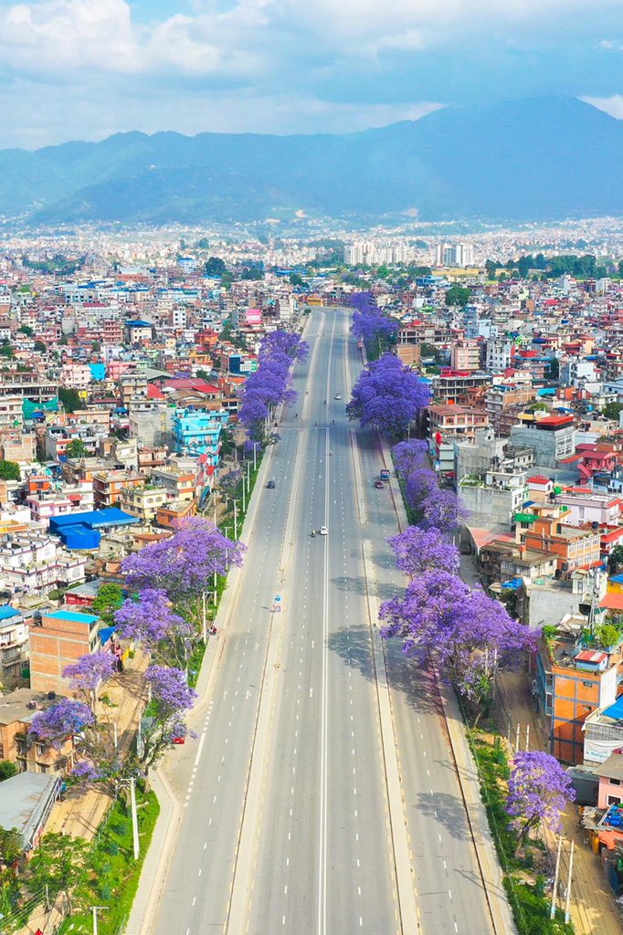 Gorakhbista's tweet photo. यो पो साच्चैको काठमाडौं त । 
#kathmandu #fullofbloom https://t.co/mNbgDBTC0w