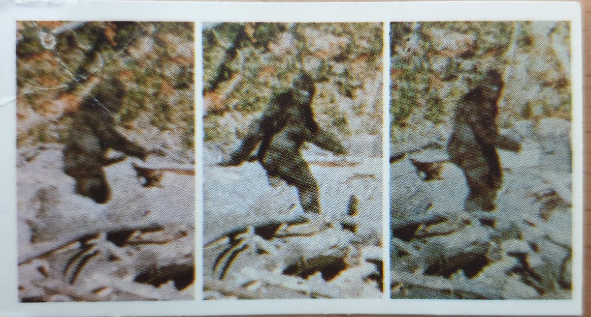 A classic set from the 80s is the 1988 Unexplained Mysteries of the World. It's famous for containing some of the best colour reproductions of several famous monster images, among them the Minnesota Iceman, Shiels Nessie, Hook Island sea monster and frames from the PG footage.