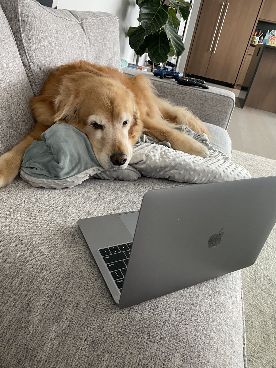 Thinks Wife tweet media