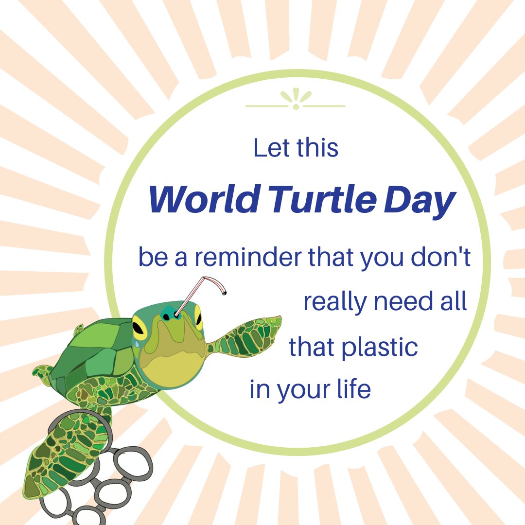 freshtableware's tweet image. Did you really need a plastic straw with your drink?
Is getting your own bags to the supermarket that much of a hassle?

The answers are simple. The effect? Life-saving. 

#WorldTurtleDay #WorldTurtleDay2020 #SaveTheTurtles #HappyWorldTurtleDay